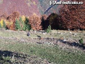 [P31] copiii au găsit trasee şi în aval de Fântâniţă » foto by marocanu21
 - 
<span class="allrVoted glyphicon glyphicon-heart hidden" id="av702048"></span>
<a class="m-l-10 hidden" id="sv702048" onclick="voting_Foto_DelVot(,702048,5423)" role="button">șterge vot <span class="glyphicon glyphicon-remove"></span></a>
<a id="v9702048" class=" c-red"  onclick="voting_Foto_SetVot(702048)" role="button"><span class="glyphicon glyphicon-heart-empty"></span> <b>LIKE</b> = Votează poza</a> <img class="hidden"  id="f702048W9" src="/imagini/loader.gif" border="0" /><span class="AjErrMes hidden" id="e702048ErM"></span>