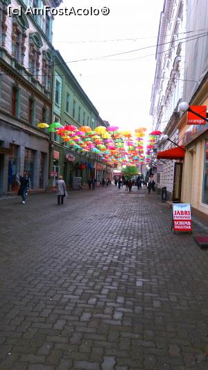 [P24] Strada Alba Iulia-langa Opera (Teatrul National)  » foto by noi doi
 - 
<span class="allrVoted glyphicon glyphicon-heart hidden" id="av731596"></span>
<a class="m-l-10 hidden" id="sv731596" onclick="voting_Foto_DelVot(,731596,5428)" role="button">șterge vot <span class="glyphicon glyphicon-remove"></span></a>
<a id="v9731596" class=" c-red"  onclick="voting_Foto_SetVot(731596)" role="button"><span class="glyphicon glyphicon-heart-empty"></span> <b>LIKE</b> = Votează poza</a> <img class="hidden"  id="f731596W9" src="/imagini/loader.gif" border="0" /><span class="AjErrMes hidden" id="e731596ErM"></span>