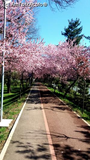 P06 [APR-2016] Hai cu bicicletele! 