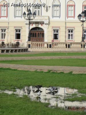 [P17] În Piața Unirii la primele ore ale dimineții - Timișoara.  » foto by tata123 🔱
 - 
<span class="allrVoted glyphicon glyphicon-heart hidden" id="av810865"></span>
<a class="m-l-10 hidden" id="sv810865" onclick="voting_Foto_DelVot(,810865,5428)" role="button">șterge vot <span class="glyphicon glyphicon-remove"></span></a>
<a id="v9810865" class=" c-red"  onclick="voting_Foto_SetVot(810865)" role="button"><span class="glyphicon glyphicon-heart-empty"></span> <b>LIKE</b> = Votează poza</a> <img class="hidden"  id="f810865W9" src="/imagini/loader.gif" border="0" /><span class="AjErrMes hidden" id="e810865ErM"></span>