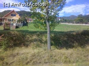 [P07] Pătârlagele, Buzău » foto by Mioritik
 - 
<span class="allrVoted glyphicon glyphicon-heart hidden" id="av1260248"></span>
<a class="m-l-10 hidden" id="sv1260248" onclick="voting_Foto_DelVot(,1260248,5439)" role="button">șterge vot <span class="glyphicon glyphicon-remove"></span></a>
<a id="v91260248" class=" c-red"  onclick="voting_Foto_SetVot(1260248)" role="button"><span class="glyphicon glyphicon-heart-empty"></span> <b>LIKE</b> = Votează poza</a> <img class="hidden"  id="f1260248W9" src="/imagini/loader.gif" border="0" /><span class="AjErrMes hidden" id="e1260248ErM"></span>