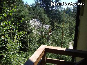 [P26] Vedere din balconul unei camere la Cabana Lacul Limpede; brazii bat la geam.  » foto by Floryn81
 - 
<span class="allrVoted glyphicon glyphicon-heart hidden" id="av359825"></span>
<a class="m-l-10 hidden" id="sv359825" onclick="voting_Foto_DelVot(,359825,5439)" role="button">șterge vot <span class="glyphicon glyphicon-remove"></span></a>
<a id="v9359825" class=" c-red"  onclick="voting_Foto_SetVot(359825)" role="button"><span class="glyphicon glyphicon-heart-empty"></span> <b>LIKE</b> = Votează poza</a> <img class="hidden"  id="f359825W9" src="/imagini/loader.gif" border="0" /><span class="AjErrMes hidden" id="e359825ErM"></span>