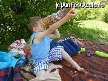 [P25] daca nu stiti la ce foloseste un colac sirbesc...puteti privi pasarelele (din copaci) » foto by adri-nico
 - 
<span class="allrVoted glyphicon glyphicon-heart hidden" id="av313922"></span>
<a class="m-l-10 hidden" id="sv313922" onclick="voting_Foto_DelVot(,313922,5439)" role="button">șterge vot <span class="glyphicon glyphicon-remove"></span></a>
<a id="v9313922" class=" c-red"  onclick="voting_Foto_SetVot(313922)" role="button"><span class="glyphicon glyphicon-heart-empty"></span> <b>LIKE</b> = Votează poza</a> <img class="hidden"  id="f313922W9" src="/imagini/loader.gif" border="0" /><span class="AjErrMes hidden" id="e313922ErM"></span>