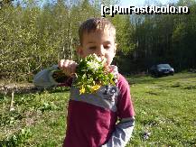 [P31] un buchet de floricele pentru doamnele de pe AFA » foto by adri-nico
 - 
<span class="allrVoted glyphicon glyphicon-heart hidden" id="av313934"></span>
<a class="m-l-10 hidden" id="sv313934" onclick="voting_Foto_DelVot(,313934,5439)" role="button">șterge vot <span class="glyphicon glyphicon-remove"></span></a>
<a id="v9313934" class=" c-red"  onclick="voting_Foto_SetVot(313934)" role="button"><span class="glyphicon glyphicon-heart-empty"></span> <b>LIKE</b> = Votează poza</a> <img class="hidden"  id="f313934W9" src="/imagini/loader.gif" border="0" /><span class="AjErrMes hidden" id="e313934ErM"></span>