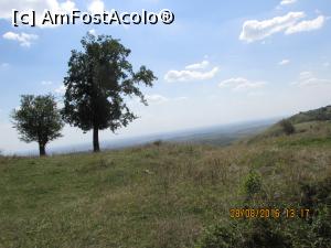 [P14] singura umbra din zona, locul unde am lasat masina » foto by adri-nico
 - 
<span class="allrVoted glyphicon glyphicon-heart hidden" id="av782823"></span>
<a class="m-l-10 hidden" id="sv782823" onclick="voting_Foto_DelVot(,782823,5439)" role="button">șterge vot <span class="glyphicon glyphicon-remove"></span></a>
<a id="v9782823" class=" c-red"  onclick="voting_Foto_SetVot(782823)" role="button"><span class="glyphicon glyphicon-heart-empty"></span> <b>LIKE</b> = Votează poza</a> <img class="hidden"  id="f782823W9" src="/imagini/loader.gif" border="0" /><span class="AjErrMes hidden" id="e782823ErM"></span>