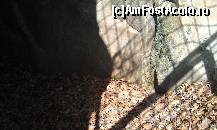 [P12] Interior locuinţa rupestră Fundu Peşterii. Satul Nucu, jud. Buzău.  » foto by traian.leuca †
 - 
<span class="allrVoted glyphicon glyphicon-heart hidden" id="av417395"></span>
<a class="m-l-10 hidden" id="sv417395" onclick="voting_Foto_DelVot(,417395,5439)" role="button">șterge vot <span class="glyphicon glyphicon-remove"></span></a>
<a id="v9417395" class=" c-red"  onclick="voting_Foto_SetVot(417395)" role="button"><span class="glyphicon glyphicon-heart-empty"></span> <b>LIKE</b> = Votează poza</a> <img class="hidden"  id="f417395W9" src="/imagini/loader.gif" border="0" /><span class="AjErrMes hidden" id="e417395ErM"></span>