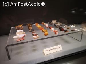 [P48] Muzeul Chihlimbarului Colți » foto by crismis
 - 
<span class="allrVoted glyphicon glyphicon-heart hidden" id="av1237280"></span>
<a class="m-l-10 hidden" id="sv1237280" onclick="voting_Foto_DelVot(,1237280,5439)" role="button">șterge vot <span class="glyphicon glyphicon-remove"></span></a>
<a id="v91237280" class=" c-red"  onclick="voting_Foto_SetVot(1237280)" role="button"><span class="glyphicon glyphicon-heart-empty"></span> <b>LIKE</b> = Votează poza</a> <img class="hidden"  id="f1237280W9" src="/imagini/loader.gif" border="0" /><span class="AjErrMes hidden" id="e1237280ErM"></span>