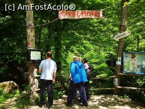 [P10] Am ajuns la Cascada Pruncea » foto by crismis
 - 
<span class="allrVoted glyphicon glyphicon-heart hidden" id="av1168047"></span>
<a class="m-l-10 hidden" id="sv1168047" onclick="voting_Foto_DelVot(,1168047,5439)" role="button">șterge vot <span class="glyphicon glyphicon-remove"></span></a>
<a id="v91168047" class=" c-red"  onclick="voting_Foto_SetVot(1168047)" role="button"><span class="glyphicon glyphicon-heart-empty"></span> <b>LIKE</b> = Votează poza</a> <img class="hidden"  id="f1168047W9" src="/imagini/loader.gif" border="0" /><span class="AjErrMes hidden" id="e1168047ErM"></span>