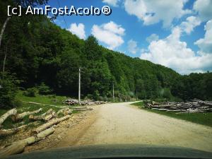 [P08] Cadavre de copaci pe marginea drumului ce duce la Cascada Pruncea » foto by crismis
 - 
<span class="allrVoted glyphicon glyphicon-heart hidden" id="av1168045"></span>
<a class="m-l-10 hidden" id="sv1168045" onclick="voting_Foto_DelVot(,1168045,5439)" role="button">șterge vot <span class="glyphicon glyphicon-remove"></span></a>
<a id="v91168045" class=" c-red"  onclick="voting_Foto_SetVot(1168045)" role="button"><span class="glyphicon glyphicon-heart-empty"></span> <b>LIKE</b> = Votează poza</a> <img class="hidden"  id="f1168045W9" src="/imagini/loader.gif" border="0" /><span class="AjErrMes hidden" id="e1168045ErM"></span>