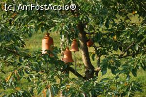 [P18] Clopote agitate în copacul din parcul din spatele hotelului.  » foto by Utube
 - 
<span class="allrVoted glyphicon glyphicon-heart hidden" id="av769458"></span>
<a class="m-l-10 hidden" id="sv769458" onclick="voting_Foto_DelVot(,769458,5498)" role="button">șterge vot <span class="glyphicon glyphicon-remove"></span></a>
<a id="v9769458" class=" c-red"  onclick="voting_Foto_SetVot(769458)" role="button"><span class="glyphicon glyphicon-heart-empty"></span> <b>LIKE</b> = Votează poza</a> <img class="hidden"  id="f769458W9" src="/imagini/loader.gif" border="0" /><span class="AjErrMes hidden" id="e769458ErM"></span>