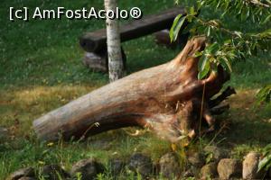 [P20] Un butuc ornamental din parc.  » foto by Utube
 - 
<span class="allrVoted glyphicon glyphicon-heart hidden" id="av769462"></span>
<a class="m-l-10 hidden" id="sv769462" onclick="voting_Foto_DelVot(,769462,5498)" role="button">șterge vot <span class="glyphicon glyphicon-remove"></span></a>
<a id="v9769462" class=" c-red"  onclick="voting_Foto_SetVot(769462)" role="button"><span class="glyphicon glyphicon-heart-empty"></span> <b>LIKE</b> = Votează poza</a> <img class="hidden"  id="f769462W9" src="/imagini/loader.gif" border="0" /><span class="AjErrMes hidden" id="e769462ErM"></span>
