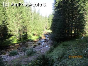 [P21] Frumusețea naturii! » foto by puiutea
 - 
<span class="allrVoted glyphicon glyphicon-heart hidden" id="av1388663"></span>
<a class="m-l-10 hidden" id="sv1388663" onclick="voting_Foto_DelVot(,1388663,5504)" role="button">șterge vot <span class="glyphicon glyphicon-remove"></span></a>
<a id="v91388663" class=" c-red"  onclick="voting_Foto_SetVot(1388663)" role="button"><span class="glyphicon glyphicon-heart-empty"></span> <b>LIKE</b> = Votează poza</a> <img class="hidden"  id="f1388663W9" src="/imagini/loader.gif" border="0" /><span class="AjErrMes hidden" id="e1388663ErM"></span>