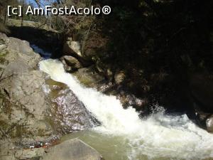 [P32] Cascada de sub Șiclău, Covasna - destul de mică, dar frumoasă.  » foto by Floryn81
 - 
<span class="allrVoted glyphicon glyphicon-heart hidden" id="av1050017"></span>
<a class="m-l-10 hidden" id="sv1050017" onclick="voting_Foto_DelVot(,1050017,5515)" role="button">șterge vot <span class="glyphicon glyphicon-remove"></span></a>
<a id="v91050017" class=" c-red"  onclick="voting_Foto_SetVot(1050017)" role="button"><span class="glyphicon glyphicon-heart-empty"></span> <b>LIKE</b> = Votează poza</a> <img class="hidden"  id="f1050017W9" src="/imagini/loader.gif" border="0" /><span class="AjErrMes hidden" id="e1050017ErM"></span>