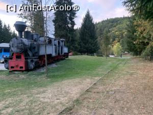 [P29] Locomotiva mocăniței » foto by AZE
 - 
<span class="allrVoted glyphicon glyphicon-heart hidden" id="av1391098"></span>
<a class="m-l-10 hidden" id="sv1391098" onclick="voting_Foto_DelVot(,1391098,5515)" role="button">șterge vot <span class="glyphicon glyphicon-remove"></span></a>
<a id="v91391098" class=" c-red"  onclick="voting_Foto_SetVot(1391098)" role="button"><span class="glyphicon glyphicon-heart-empty"></span> <b>LIKE</b> = Votează poza</a> <img class="hidden"  id="f1391098W9" src="/imagini/loader.gif" border="0" /><span class="AjErrMes hidden" id="e1391098ErM"></span>