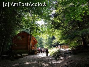 [P12] Ne apropiam de căbănuța din bârne, locul de unde am cumpărat brățările/biletele de vizitare a canionului.  » foto by Floryn81
 - 
<span class="allrVoted glyphicon glyphicon-heart hidden" id="av1080530"></span>
<a class="m-l-10 hidden" id="sv1080530" onclick="voting_Foto_DelVot(,1080530,5531)" role="button">șterge vot <span class="glyphicon glyphicon-remove"></span></a>
<a id="v91080530" class=" c-red"  onclick="voting_Foto_SetVot(1080530)" role="button"><span class="glyphicon glyphicon-heart-empty"></span> <b>LIKE</b> = Votează poza</a> <img class="hidden"  id="f1080530W9" src="/imagini/loader.gif" border="0" /><span class="AjErrMes hidden" id="e1080530ErM"></span>