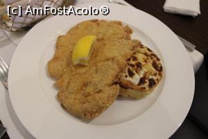 [P16] Oradea, Restaurantul Allegria, Schnitzel vienez de pui și Cartofi gratinați » foto by mprofeanu
 - 
<span class="allrVoted glyphicon glyphicon-heart hidden" id="av1130153"></span>
<a class="m-l-10 hidden" id="sv1130153" onclick="voting_Foto_DelVot(,1130153,5534)" role="button">șterge vot <span class="glyphicon glyphicon-remove"></span></a>
<a id="v91130153" class=" c-red"  onclick="voting_Foto_SetVot(1130153)" role="button"><span class="glyphicon glyphicon-heart-empty"></span> <b>LIKE</b> = Votează poza</a> <img class="hidden"  id="f1130153W9" src="/imagini/loader.gif" border="0" /><span class="AjErrMes hidden" id="e1130153ErM"></span>