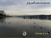 [P43] Lacul Woerthersee intr-o dimineata mai innorata » foto by Alina53
 - 
<span class="allrVoted glyphicon glyphicon-heart hidden" id="av292911"></span>
<a class="m-l-10 hidden" id="sv292911" onclick="voting_Foto_DelVot(,292911,5556)" role="button">șterge vot <span class="glyphicon glyphicon-remove"></span></a>
<a id="v9292911" class=" c-red"  onclick="voting_Foto_SetVot(292911)" role="button"><span class="glyphicon glyphicon-heart-empty"></span> <b>LIKE</b> = Votează poza</a> <img class="hidden"  id="f292911W9" src="/imagini/loader.gif" border="0" /><span class="AjErrMes hidden" id="e292911ErM"></span>