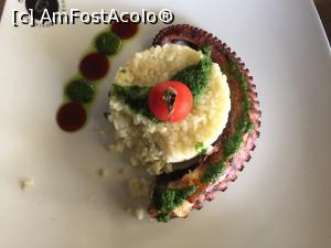 [P06] delicioasa caracatita cu ustoroi si orez » foto by Dan&Ema
 - 
<span class="allrVoted glyphicon glyphicon-heart hidden" id="av754051"></span>
<a class="m-l-10 hidden" id="sv754051" onclick="voting_Foto_DelVot(,754051,5567)" role="button">șterge vot <span class="glyphicon glyphicon-remove"></span></a>
<a id="v9754051" class=" c-red"  onclick="voting_Foto_SetVot(754051)" role="button"><span class="glyphicon glyphicon-heart-empty"></span> <b>LIKE</b> = Votează poza</a> <img class="hidden"  id="f754051W9" src="/imagini/loader.gif" border="0" /><span class="AjErrMes hidden" id="e754051ErM"></span>