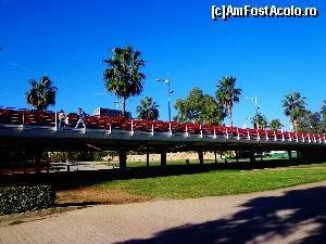 [P78] Jardin del Turia - Ponte de las Flores » foto by Ammelie
 - 
<span class="allrVoted glyphicon glyphicon-heart hidden" id="av570331"></span>
<a class="m-l-10 hidden" id="sv570331" onclick="voting_Foto_DelVot(,570331,5604)" role="button">șterge vot <span class="glyphicon glyphicon-remove"></span></a>
<a id="v9570331" class=" c-red"  onclick="voting_Foto_SetVot(570331)" role="button"><span class="glyphicon glyphicon-heart-empty"></span> <b>LIKE</b> = Votează poza</a> <img class="hidden"  id="f570331W9" src="/imagini/loader.gif" border="0" /><span class="AjErrMes hidden" id="e570331ErM"></span>