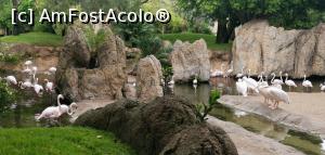 [P21] Bioparc Valencia, un paradis pentru familiile cu copii. » foto by Aurici
 - 
<span class="allrVoted glyphicon glyphicon-heart hidden" id="av1268705"></span>
<a class="m-l-10 hidden" id="sv1268705" onclick="voting_Foto_DelVot(,1268705,5604)" role="button">șterge vot <span class="glyphicon glyphicon-remove"></span></a>
<a id="v91268705" class=" c-red"  onclick="voting_Foto_SetVot(1268705)" role="button"><span class="glyphicon glyphicon-heart-empty"></span> <b>LIKE</b> = Votează poza</a> <img class="hidden"  id="f1268705W9" src="/imagini/loader.gif" border="0" /><span class="AjErrMes hidden" id="e1268705ErM"></span>