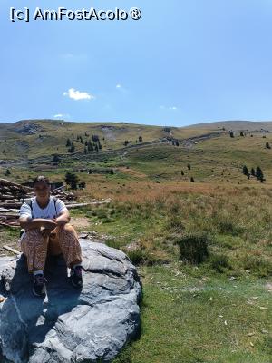 [P09] Un scurt moment pastoral la 1500 de metri » foto by laurand
 - 
<span class="allrVoted glyphicon glyphicon-heart hidden" id="av1514180"></span>
<a class="m-l-10 hidden" id="sv1514180" onclick="voting_Foto_DelVot(,1514180,5619)" role="button">șterge vot <span class="glyphicon glyphicon-remove"></span></a>
<a id="v91514180" class=" c-red"  onclick="voting_Foto_SetVot(1514180)" role="button"><span class="glyphicon glyphicon-heart-empty"></span> <b>LIKE</b> = Votează poza</a> <img class="hidden"  id="f1514180W9" src="/imagini/loader.gif" border="0" /><span class="AjErrMes hidden" id="e1514180ErM"></span>