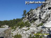 [P18] prin Grecia, prin munti » foto by adryana
 - 
<span class="allrVoted glyphicon glyphicon-heart hidden" id="av175727"></span>
<a class="m-l-10 hidden" id="sv175727" onclick="voting_Foto_DelVot(,175727,5636)" role="button">șterge vot <span class="glyphicon glyphicon-remove"></span></a>
<a id="v9175727" class=" c-red"  onclick="voting_Foto_SetVot(175727)" role="button"><span class="glyphicon glyphicon-heart-empty"></span> <b>LIKE</b> = Votează poza</a> <img class="hidden"  id="f175727W9" src="/imagini/loader.gif" border="0" /><span class="AjErrMes hidden" id="e175727ErM"></span>