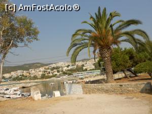 [P23] Palmier langa plaje » foto by olteanul2010
 - 
<span class="allrVoted glyphicon glyphicon-heart hidden" id="av780460"></span>
<a class="m-l-10 hidden" id="sv780460" onclick="voting_Foto_DelVot(,780460,5636)" role="button">șterge vot <span class="glyphicon glyphicon-remove"></span></a>
<a id="v9780460" class=" c-red"  onclick="voting_Foto_SetVot(780460)" role="button"><span class="glyphicon glyphicon-heart-empty"></span> <b>LIKE</b> = Votează poza</a> <img class="hidden"  id="f780460W9" src="/imagini/loader.gif" border="0" /><span class="AjErrMes hidden" id="e780460ErM"></span>