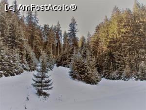 [P15]  -- <small>// FĂRĂ DESCRIERE</small> » foto by Testosu'
 - 
<span class="allrVoted glyphicon glyphicon-heart hidden" id="av831612"></span>
<a class="m-l-10 hidden" id="sv831612" onclick="voting_Foto_DelVot(,831612,5641)" role="button">șterge vot <span class="glyphicon glyphicon-remove"></span></a>
<a id="v9831612" class=" c-red"  onclick="voting_Foto_SetVot(831612)" role="button"><span class="glyphicon glyphicon-heart-empty"></span> <b>LIKE</b> = Votează poza</a> <img class="hidden"  id="f831612W9" src="/imagini/loader.gif" border="0" /><span class="AjErrMes hidden" id="e831612ErM"></span>