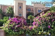 [P10] Frumusete invadand hotelul... » foto by Alina53
 - 
<span class="allrVoted glyphicon glyphicon-heart hidden" id="av85148"></span>
<a class="m-l-10 hidden" id="sv85148" onclick="voting_Foto_DelVot(,85148,5681)" role="button">șterge vot <span class="glyphicon glyphicon-remove"></span></a>
<a id="v985148" class=" c-red"  onclick="voting_Foto_SetVot(85148)" role="button"><span class="glyphicon glyphicon-heart-empty"></span> <b>LIKE</b> = Votează poza</a> <img class="hidden"  id="f85148W9" src="/imagini/loader.gif" border="0" /><span class="AjErrMes hidden" id="e85148ErM"></span>