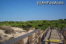 [P09] Podetul de lemn pe care treceam in drum spre plaja- ca sa nu deranjam dunele de nisip » foto by Alina53
 - 
<span class="allrVoted glyphicon glyphicon-heart hidden" id="av85146"></span>
<a class="m-l-10 hidden" id="sv85146" onclick="voting_Foto_DelVot(,85146,5681)" role="button">șterge vot <span class="glyphicon glyphicon-remove"></span></a>
<a id="v985146" class=" c-red"  onclick="voting_Foto_SetVot(85146)" role="button"><span class="glyphicon glyphicon-heart-empty"></span> <b>LIKE</b> = Votează poza</a> <img class="hidden"  id="f85146W9" src="/imagini/loader.gif" border="0" /><span class="AjErrMes hidden" id="e85146ErM"></span>