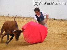 [P09] O mica demostratie la hacienda » foto by pavellaurentiu
 - 
<span class="allrVoted glyphicon glyphicon-heart hidden" id="av83948"></span>
<a class="m-l-10 hidden" id="sv83948" onclick="voting_Foto_DelVot(,83948,5681)" role="button">șterge vot <span class="glyphicon glyphicon-remove"></span></a>
<a id="v983948" class=" c-red"  onclick="voting_Foto_SetVot(83948)" role="button"><span class="glyphicon glyphicon-heart-empty"></span> <b>LIKE</b> = Votează poza</a> <img class="hidden"  id="f83948W9" src="/imagini/loader.gif" border="0" /><span class="AjErrMes hidden" id="e83948ErM"></span>