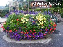 [P35] Villars - pretutindeni ronduri si decoratiuni florale vesel colorate » foto by mariana.olaru
 - 
<span class="allrVoted glyphicon glyphicon-heart hidden" id="av73933"></span>
<a class="m-l-10 hidden" id="sv73933" onclick="voting_Foto_DelVot(,73933,5739)" role="button">șterge vot <span class="glyphicon glyphicon-remove"></span></a>
<a id="v973933" class=" c-red"  onclick="voting_Foto_SetVot(73933)" role="button"><span class="glyphicon glyphicon-heart-empty"></span> <b>LIKE</b> = Votează poza</a> <img class="hidden"  id="f73933W9" src="/imagini/loader.gif" border="0" /><span class="AjErrMes hidden" id="e73933ErM"></span>