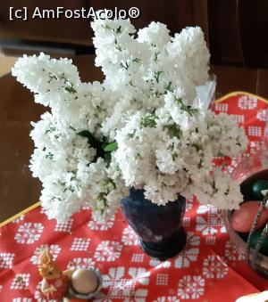 [P06] Cu drag pentru voi!  » foto by Zoazore <span class="label label-default labelC_thin small">NEVOTABILĂ</span>