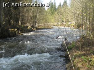[P17] Valea Ilvei, afluent al Muresului, loc de iesit la " iarba verde"  » foto by dorgo
 - 
<span class="allrVoted glyphicon glyphicon-heart hidden" id="av1153612"></span>
<a class="m-l-10 hidden" id="sv1153612" onclick="voting_Foto_DelVot(,1153612,5760)" role="button">șterge vot <span class="glyphicon glyphicon-remove"></span></a>
<a id="v91153612" class=" c-red"  onclick="voting_Foto_SetVot(1153612)" role="button"><span class="glyphicon glyphicon-heart-empty"></span> <b>LIKE</b> = Votează poza</a> <img class="hidden"  id="f1153612W9" src="/imagini/loader.gif" border="0" /><span class="AjErrMes hidden" id="e1153612ErM"></span>