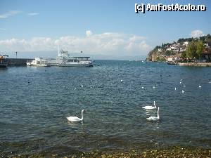 [P12] Ohrid vedere spre lac in portul turistic » foto by Nicu
 - 
<span class="allrVoted glyphicon glyphicon-heart hidden" id="av401298"></span>
<a class="m-l-10 hidden" id="sv401298" onclick="voting_Foto_DelVot(,401298,5763)" role="button">șterge vot <span class="glyphicon glyphicon-remove"></span></a>
<a id="v9401298" class=" c-red"  onclick="voting_Foto_SetVot(401298)" role="button"><span class="glyphicon glyphicon-heart-empty"></span> <b>LIKE</b> = Votează poza</a> <img class="hidden"  id="f401298W9" src="/imagini/loader.gif" border="0" /><span class="AjErrMes hidden" id="e401298ErM"></span>