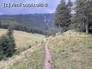 [P01] Spre Cabana Curmătura » foto by Mika
 - 
<span class="allrVoted glyphicon glyphicon-heart hidden" id="av1508268"></span>
<a class="m-l-10 hidden" id="sv1508268" onclick="voting_Foto_DelVot(,1508268,5764)" role="button">șterge vot <span class="glyphicon glyphicon-remove"></span></a>
<a id="v91508268" class=" c-red"  onclick="voting_Foto_SetVot(1508268)" role="button"><span class="glyphicon glyphicon-heart-empty"></span> <b>LIKE</b> = Votează poza</a> <img class="hidden"  id="f1508268W9" src="/imagini/loader.gif" border="0" /><span class="AjErrMes hidden" id="e1508268ErM"></span>