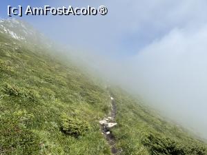 [P25] Creasta Nordică a Craiului » foto by Mika
 - 
<span class="allrVoted glyphicon glyphicon-heart hidden" id="av1508292"></span>
<a class="m-l-10 hidden" id="sv1508292" onclick="voting_Foto_DelVot(,1508292,5764)" role="button">șterge vot <span class="glyphicon glyphicon-remove"></span></a>
<a id="v91508292" class=" c-red"  onclick="voting_Foto_SetVot(1508292)" role="button"><span class="glyphicon glyphicon-heart-empty"></span> <b>LIKE</b> = Votează poza</a> <img class="hidden"  id="f1508292W9" src="/imagini/loader.gif" border="0" /><span class="AjErrMes hidden" id="e1508292ErM"></span>