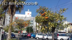 [P13] Portocali în apropierea Marina Zeas » foto by irinad
 - 
<span class="allrVoted glyphicon glyphicon-heart hidden" id="av1062394"></span>
<a class="m-l-10 hidden" id="sv1062394" onclick="voting_Foto_DelVot(,1062394,5773)" role="button">șterge vot <span class="glyphicon glyphicon-remove"></span></a>
<a id="v91062394" class=" c-red"  onclick="voting_Foto_SetVot(1062394)" role="button"><span class="glyphicon glyphicon-heart-empty"></span> <b>LIKE</b> = Votează poza</a> <img class="hidden"  id="f1062394W9" src="/imagini/loader.gif" border="0" /><span class="AjErrMes hidden" id="e1062394ErM"></span>