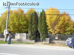 [P29] Cârțișoara - Muzeul Etnografic și Memorial "Badea Cârțan". Poarta. » foto by iulianic
 - 
<span class="allrVoted glyphicon glyphicon-heart hidden" id="av1334713"></span>
<a class="m-l-10 hidden" id="sv1334713" onclick="voting_Foto_DelVot(,1334713,5785)" role="button">șterge vot <span class="glyphicon glyphicon-remove"></span></a>
<a id="v91334713" class=" c-red"  onclick="voting_Foto_SetVot(1334713)" role="button"><span class="glyphicon glyphicon-heart-empty"></span> <b>LIKE</b> = Votează poza</a> <img class="hidden"  id="f1334713W9" src="/imagini/loader.gif" border="0" /><span class="AjErrMes hidden" id="e1334713ErM"></span>