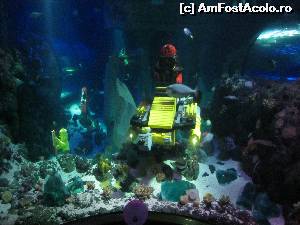 [P36] Legoland Atlantis Sea Life » foto by ariciu
 - 
<span class="allrVoted glyphicon glyphicon-heart hidden" id="av609925"></span>
<a class="m-l-10 hidden" id="sv609925" onclick="voting_Foto_DelVot(,609925,5812)" role="button">șterge vot <span class="glyphicon glyphicon-remove"></span></a>
<a id="v9609925" class=" c-red"  onclick="voting_Foto_SetVot(609925)" role="button"><span class="glyphicon glyphicon-heart-empty"></span> <b>LIKE</b> = Votează poza</a> <img class="hidden"  id="f609925W9" src="/imagini/loader.gif" border="0" /><span class="AjErrMes hidden" id="e609925ErM"></span>