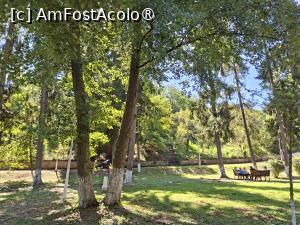 [P15] Parcul rezervație naturală din centrul stațiunii » foto by Carmen Ion
 - 
<span class="allrVoted glyphicon glyphicon-heart hidden" id="av1512480"></span>
<a class="m-l-10 hidden" id="sv1512480" onclick="voting_Foto_DelVot(,1512480,5840)" role="button">șterge vot <span class="glyphicon glyphicon-remove"></span></a>
<a id="v91512480" class=" c-red"  onclick="voting_Foto_SetVot(1512480)" role="button"><span class="glyphicon glyphicon-heart-empty"></span> <b>LIKE</b> = Votează poza</a> <img class="hidden"  id="f1512480W9" src="/imagini/loader.gif" border="0" /><span class="AjErrMes hidden" id="e1512480ErM"></span>