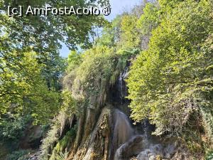 [P02] Cascada Clocota » foto by Carmen Ion
 - 
<span class="allrVoted glyphicon glyphicon-heart hidden" id="av1512467"></span>
<a class="m-l-10 hidden" id="sv1512467" onclick="voting_Foto_DelVot(,1512467,5840)" role="button">șterge vot <span class="glyphicon glyphicon-remove"></span></a>
<a id="v91512467" class=" c-red"  onclick="voting_Foto_SetVot(1512467)" role="button"><span class="glyphicon glyphicon-heart-empty"></span> <b>LIKE</b> = Votează poza</a> <img class="hidden"  id="f1512467W9" src="/imagini/loader.gif" border="0" /><span class="AjErrMes hidden" id="e1512467ErM"></span>