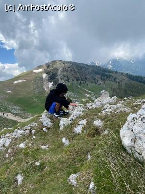 [P21] Monte Baldo » foto by Catalina E
 - 
<span class="allrVoted glyphicon glyphicon-heart hidden" id="av1437624"></span>
<a class="m-l-10 hidden" id="sv1437624" onclick="voting_Foto_DelVot(,1437624,5852)" role="button">șterge vot <span class="glyphicon glyphicon-remove"></span></a>
<a id="v91437624" class=" c-red"  onclick="voting_Foto_SetVot(1437624)" role="button"><span class="glyphicon glyphicon-heart-empty"></span> <b>LIKE</b> = Votează poza</a> <img class="hidden"  id="f1437624W9" src="/imagini/loader.gif" border="0" /><span class="AjErrMes hidden" id="e1437624ErM"></span>