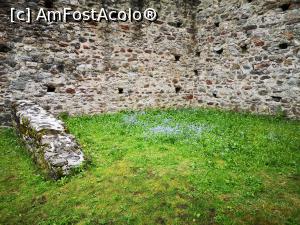 [P47] Un pâlc de flori albastre la Castelul Nou » foto by crismis
 - 
<span class="allrVoted glyphicon glyphicon-heart hidden" id="av1309817"></span>
<a class="m-l-10 hidden" id="sv1309817" onclick="voting_Foto_DelVot(,1309817,5852)" role="button">șterge vot <span class="glyphicon glyphicon-remove"></span></a>
<a id="v91309817" class=" c-red"  onclick="voting_Foto_SetVot(1309817)" role="button"><span class="glyphicon glyphicon-heart-empty"></span> <b>LIKE</b> = Votează poza</a> <img class="hidden"  id="f1309817W9" src="/imagini/loader.gif" border="0" /><span class="AjErrMes hidden" id="e1309817ErM"></span>