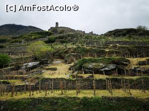 [P52] Vechi muretto a secco pe dealul castelelor » foto by crismis
 - 
<span class="allrVoted glyphicon glyphicon-heart hidden" id="av1309822"></span>
<a class="m-l-10 hidden" id="sv1309822" onclick="voting_Foto_DelVot(,1309822,5852)" role="button">șterge vot <span class="glyphicon glyphicon-remove"></span></a>
<a id="v91309822" class=" c-red"  onclick="voting_Foto_SetVot(1309822)" role="button"><span class="glyphicon glyphicon-heart-empty"></span> <b>LIKE</b> = Votează poza</a> <img class="hidden"  id="f1309822W9" src="/imagini/loader.gif" border="0" /><span class="AjErrMes hidden" id="e1309822ErM"></span>