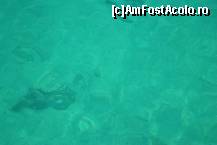 [P08] Marea foarte curata se vedeau pestisori » foto by grig5grig
 - 
<span class="allrVoted glyphicon glyphicon-heart hidden" id="av87416"></span>
<a class="m-l-10 hidden" id="sv87416" onclick="voting_Foto_DelVot(,87416,5867)" role="button">șterge vot <span class="glyphicon glyphicon-remove"></span></a>
<a id="v987416" class=" c-red"  onclick="voting_Foto_SetVot(87416)" role="button"><span class="glyphicon glyphicon-heart-empty"></span> <b>LIKE</b> = Votează poza</a> <img class="hidden"  id="f87416W9" src="/imagini/loader.gif" border="0" /><span class="AjErrMes hidden" id="e87416ErM"></span>
