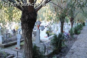 [P85] Mănăstirea Sf. Nicolae Sitaru, Cimitirul, era în spatele bisericii, se intra printr-o poartă aflată în zidul curții interioare în stânga » foto by mprofeanu
 - 
<span class="allrVoted glyphicon glyphicon-heart hidden" id="av1207116"></span>
<a class="m-l-10 hidden" id="sv1207116" onclick="voting_Foto_DelVot(,1207116,5894)" role="button">șterge vot <span class="glyphicon glyphicon-remove"></span></a>
<a id="v91207116" class=" c-red"  onclick="voting_Foto_SetVot(1207116)" role="button"><span class="glyphicon glyphicon-heart-empty"></span> <b>LIKE</b> = Votează poza</a> <img class="hidden"  id="f1207116W9" src="/imagini/loader.gif" border="0" /><span class="AjErrMes hidden" id="e1207116ErM"></span>