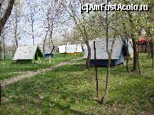 [P49] Stațiunea Lacu Sărat - zona de camping.  » foto by Floryn81
 - 
<span class="allrVoted glyphicon glyphicon-heart hidden" id="av413565"></span>
<a class="m-l-10 hidden" id="sv413565" onclick="voting_Foto_DelVot(,413565,5899)" role="button">șterge vot <span class="glyphicon glyphicon-remove"></span></a>
<a id="v9413565" class=" c-red"  onclick="voting_Foto_SetVot(413565)" role="button"><span class="glyphicon glyphicon-heart-empty"></span> <b>LIKE</b> = Votează poza</a> <img class="hidden"  id="f413565W9" src="/imagini/loader.gif" border="0" /><span class="AjErrMes hidden" id="e413565ErM"></span>