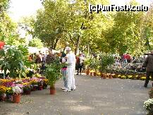 [P14] Festivalul florilor de toamna, Braila - Gradina Mare inveselita de flori de toate culorile » foto by ascent
 - 
<span class="allrVoted glyphicon glyphicon-heart hidden" id="av153882"></span>
<a class="m-l-10 hidden" id="sv153882" onclick="voting_Foto_DelVot(,153882,5899)" role="button">șterge vot <span class="glyphicon glyphicon-remove"></span></a>
<a id="v9153882" class=" c-red"  onclick="voting_Foto_SetVot(153882)" role="button"><span class="glyphicon glyphicon-heart-empty"></span> <b>LIKE</b> = Votează poza</a> <img class="hidden"  id="f153882W9" src="/imagini/loader.gif" border="0" /><span class="AjErrMes hidden" id="e153882ErM"></span>