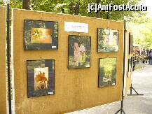 [P43] Festivalul florilor de toamna - expozitie de fotografii pe aleile din Gradina Mare » foto by ascent
 - 
<span class="allrVoted glyphicon glyphicon-heart hidden" id="av153911"></span>
<a class="m-l-10 hidden" id="sv153911" onclick="voting_Foto_DelVot(,153911,5899)" role="button">șterge vot <span class="glyphicon glyphicon-remove"></span></a>
<a id="v9153911" class=" c-red"  onclick="voting_Foto_SetVot(153911)" role="button"><span class="glyphicon glyphicon-heart-empty"></span> <b>LIKE</b> = Votează poza</a> <img class="hidden"  id="f153911W9" src="/imagini/loader.gif" border="0" /><span class="AjErrMes hidden" id="e153911ErM"></span>